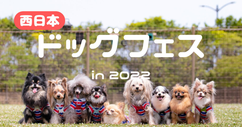西日本 ドッグフェス22 犬連れで遊べるイベント情報まとめ