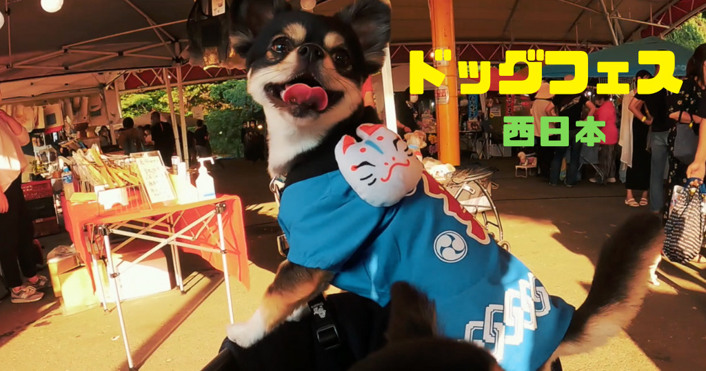 西日本 ドッグフェス22 犬連れで遊べるイベント情報まとめ